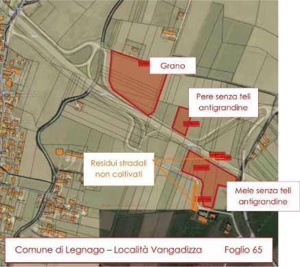 immagine annuncio 2 di 3