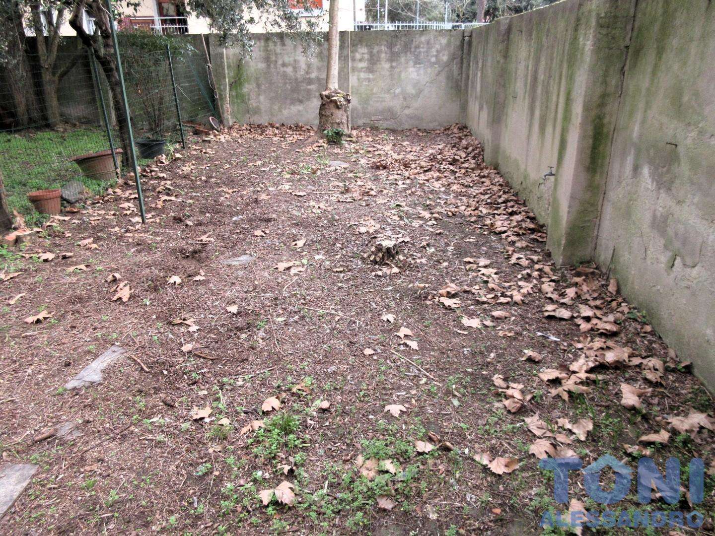  - foto 11