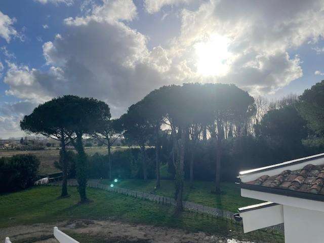  - foto 3