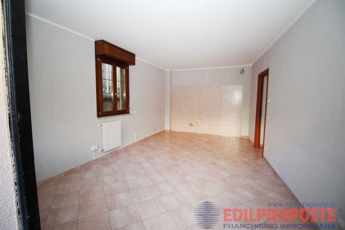 immagine annuncio 9 di 14