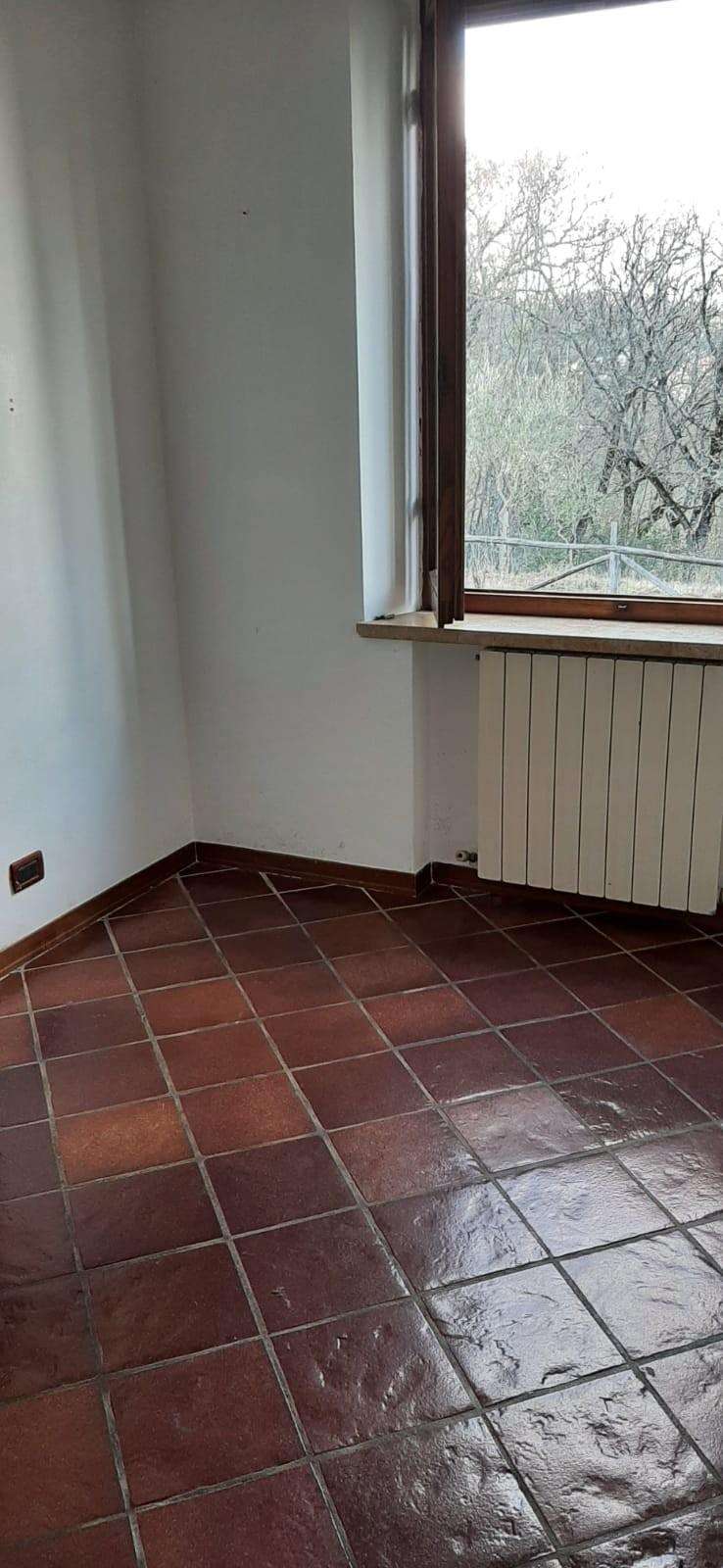  - foto 15