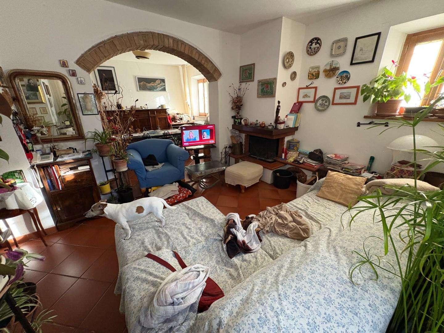  - foto 3