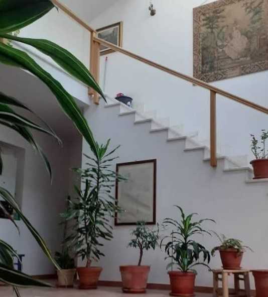 immagine annuncio 4 di 7