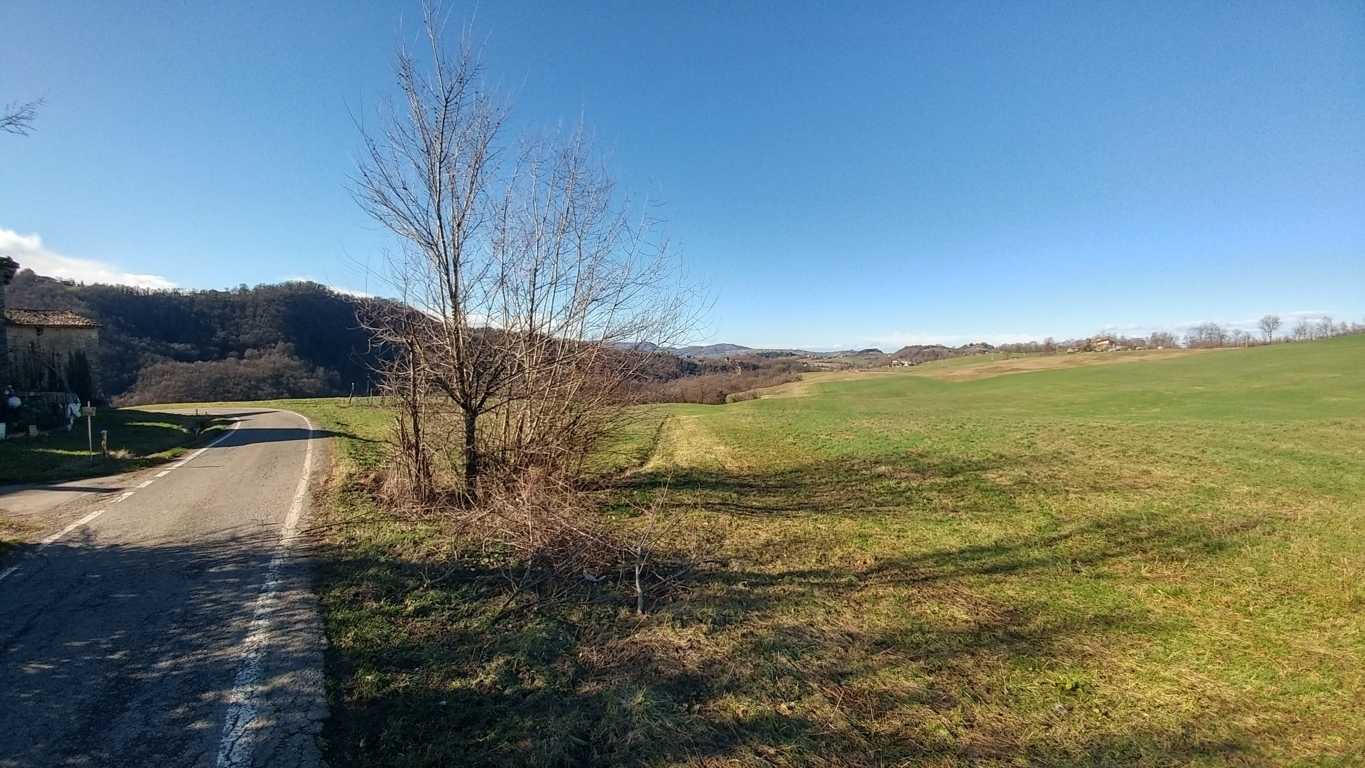  - foto 14