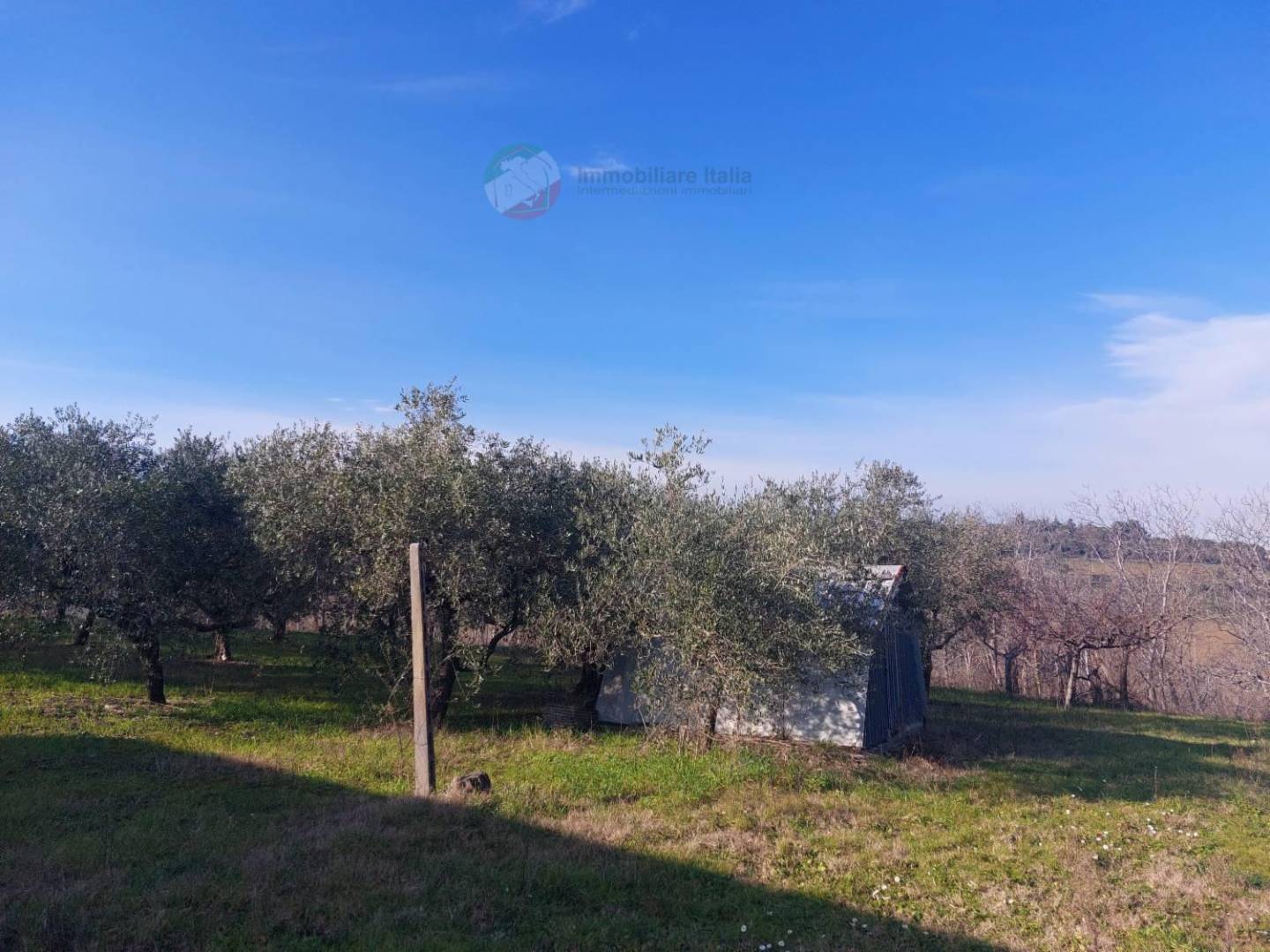 immagine annuncio 3 di 10
