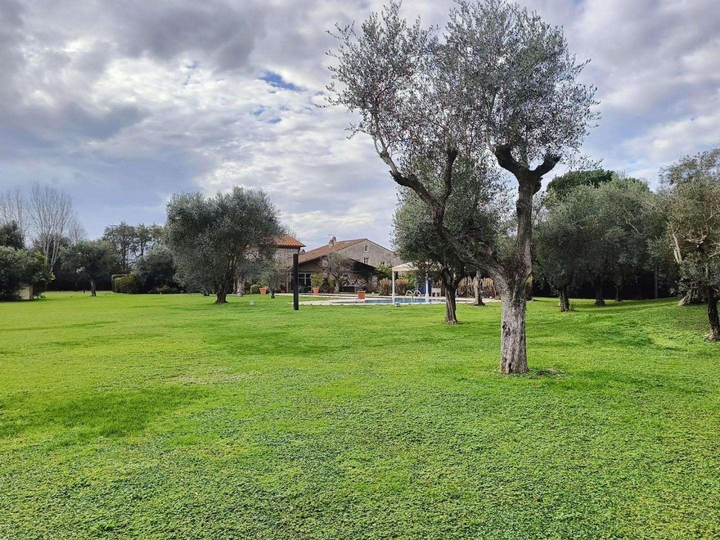 immagine annuncio 11 di 13