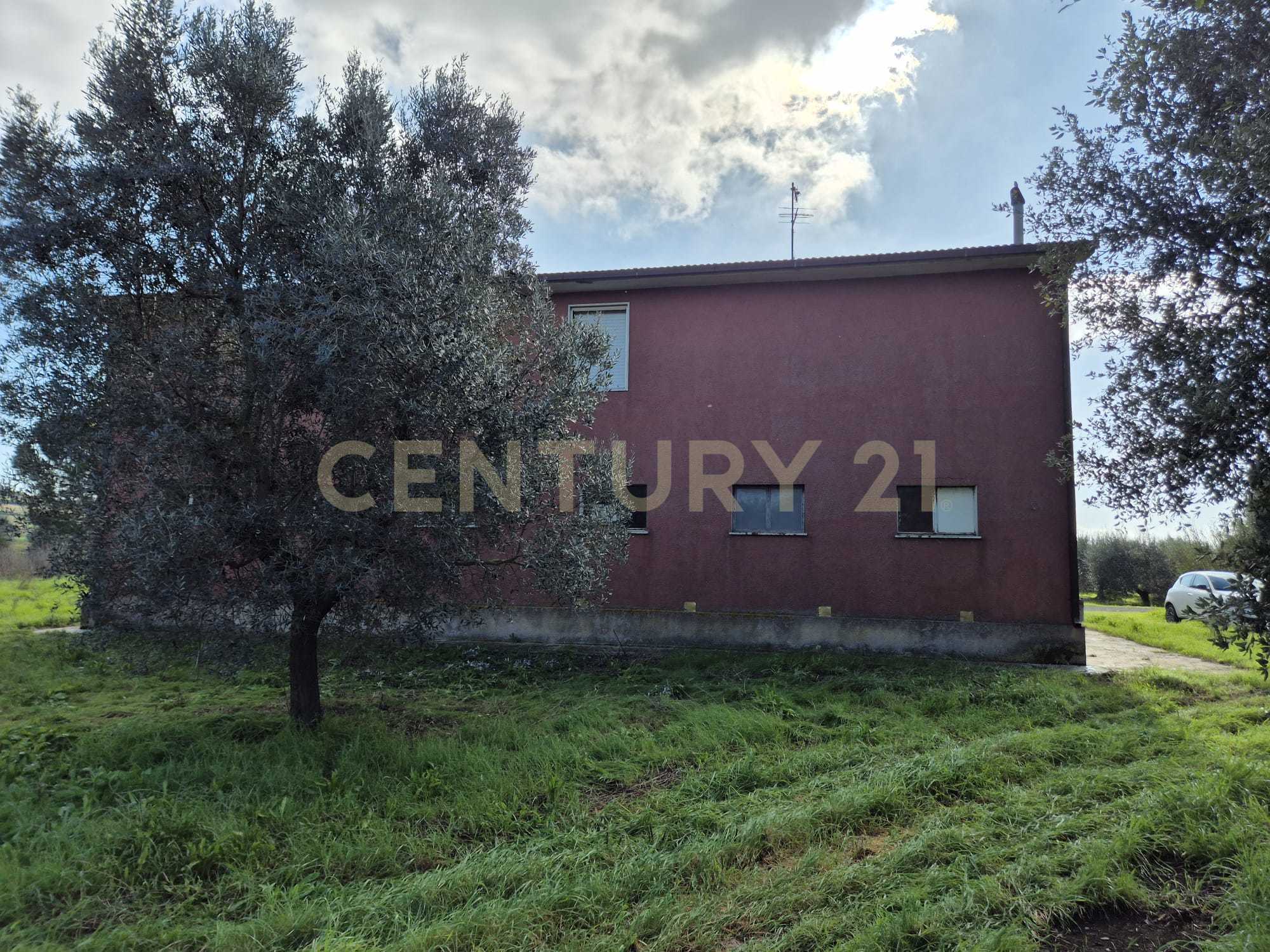  - foto 5