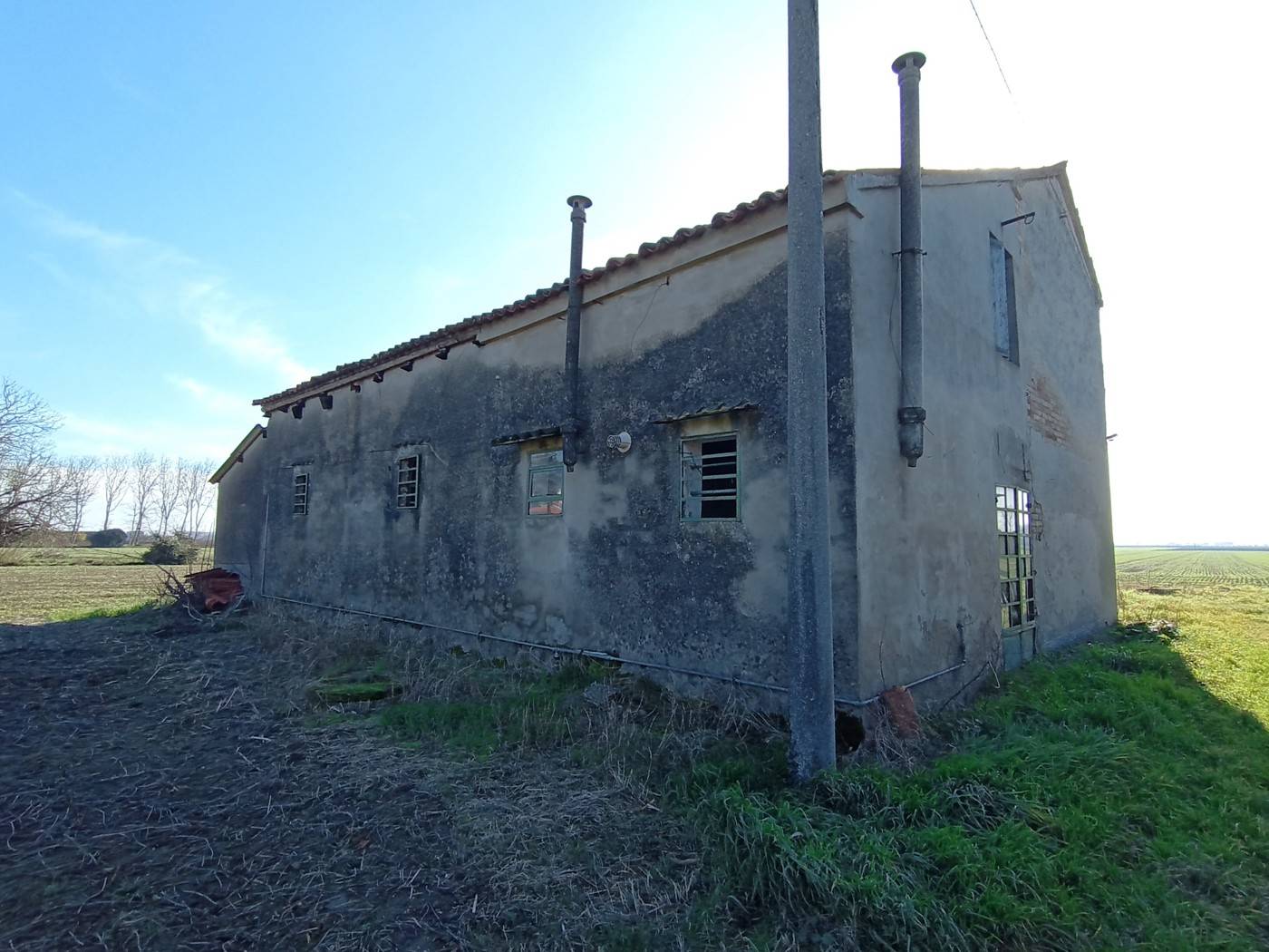 immagine annuncio 7 di 8