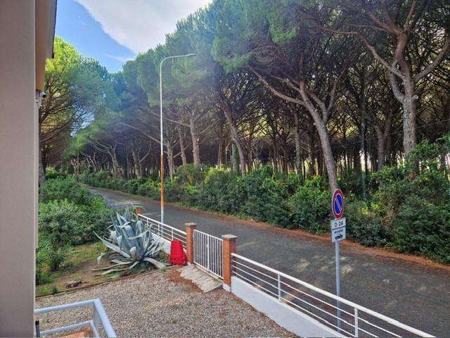  - foto 11