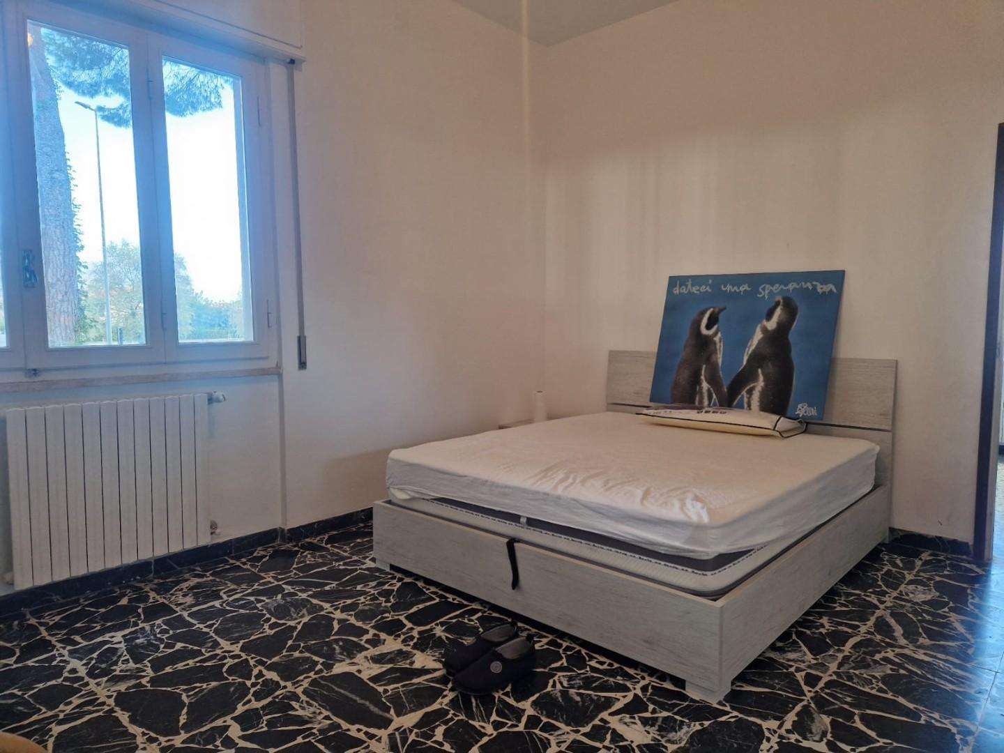  - foto 28