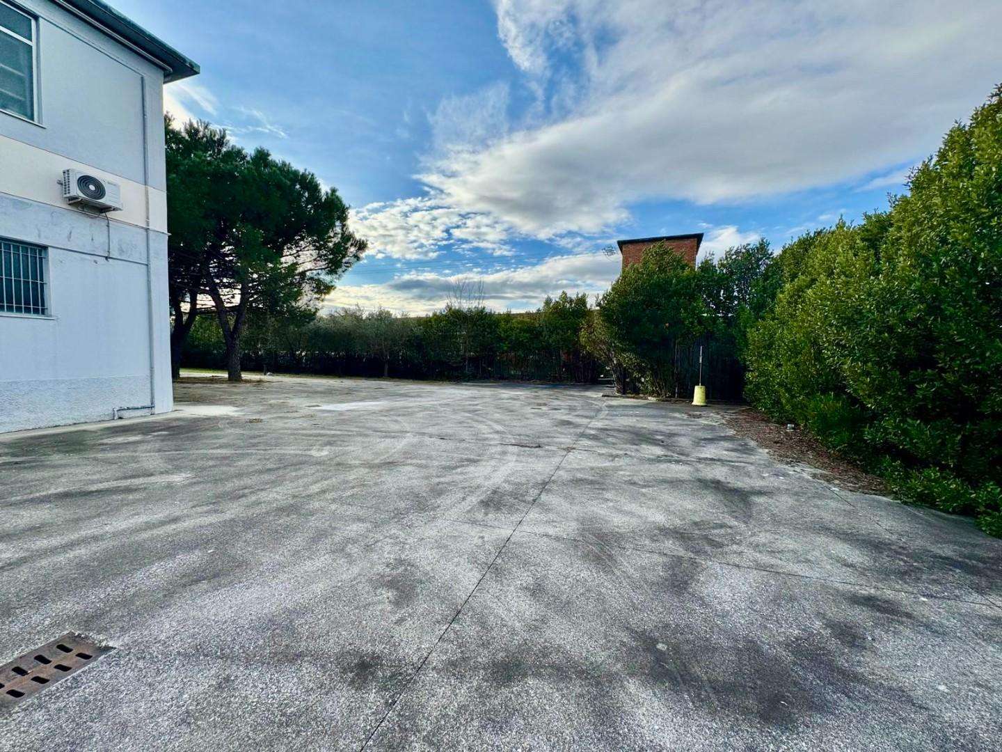  - foto 14