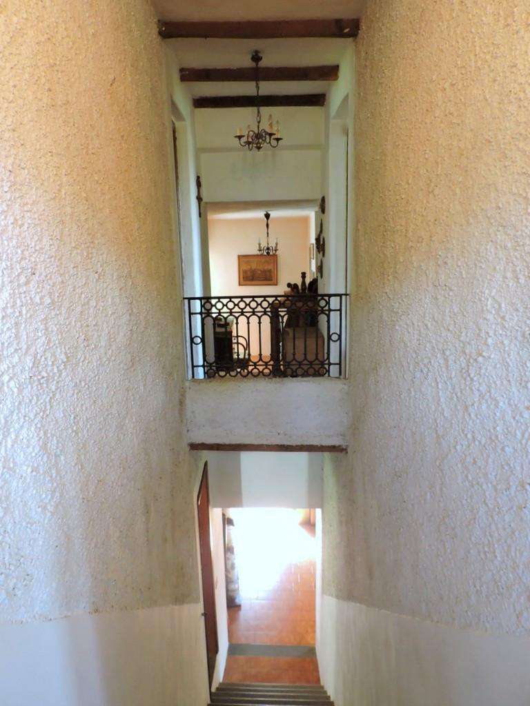  - foto 13