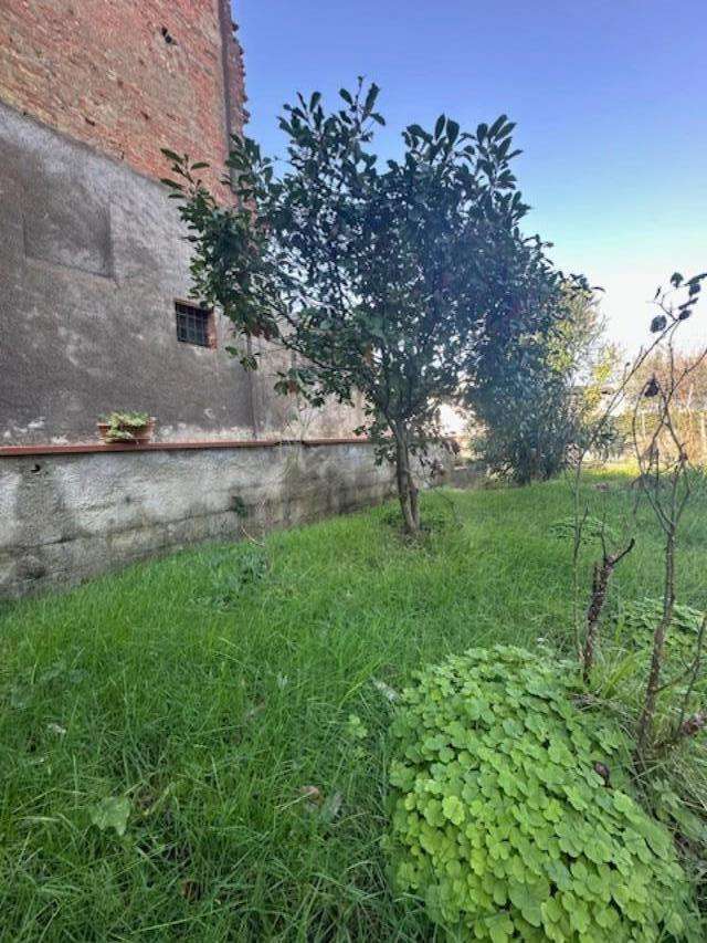  - foto 3