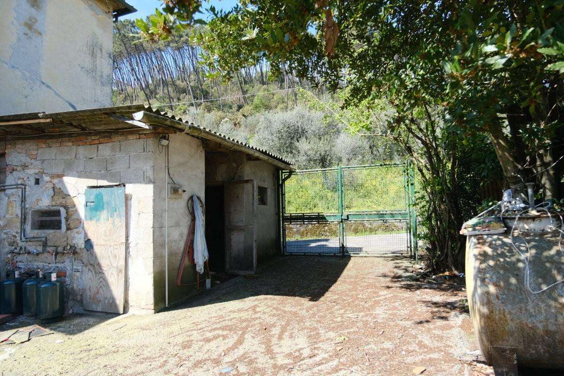 - foto 14