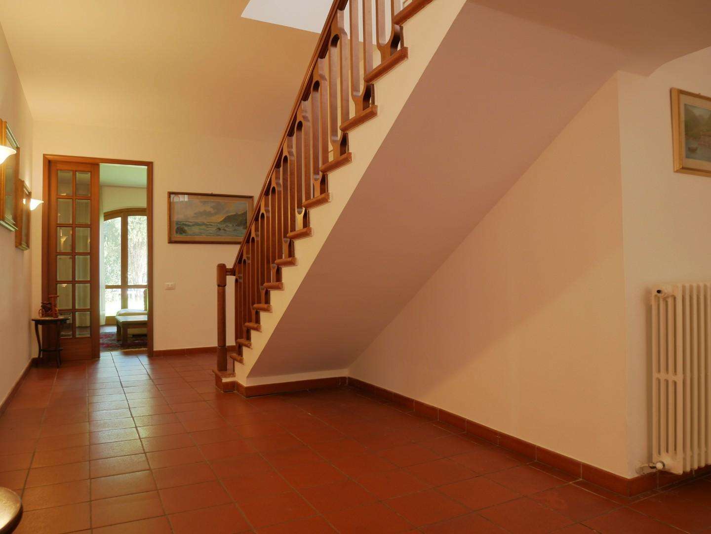  - foto 14
