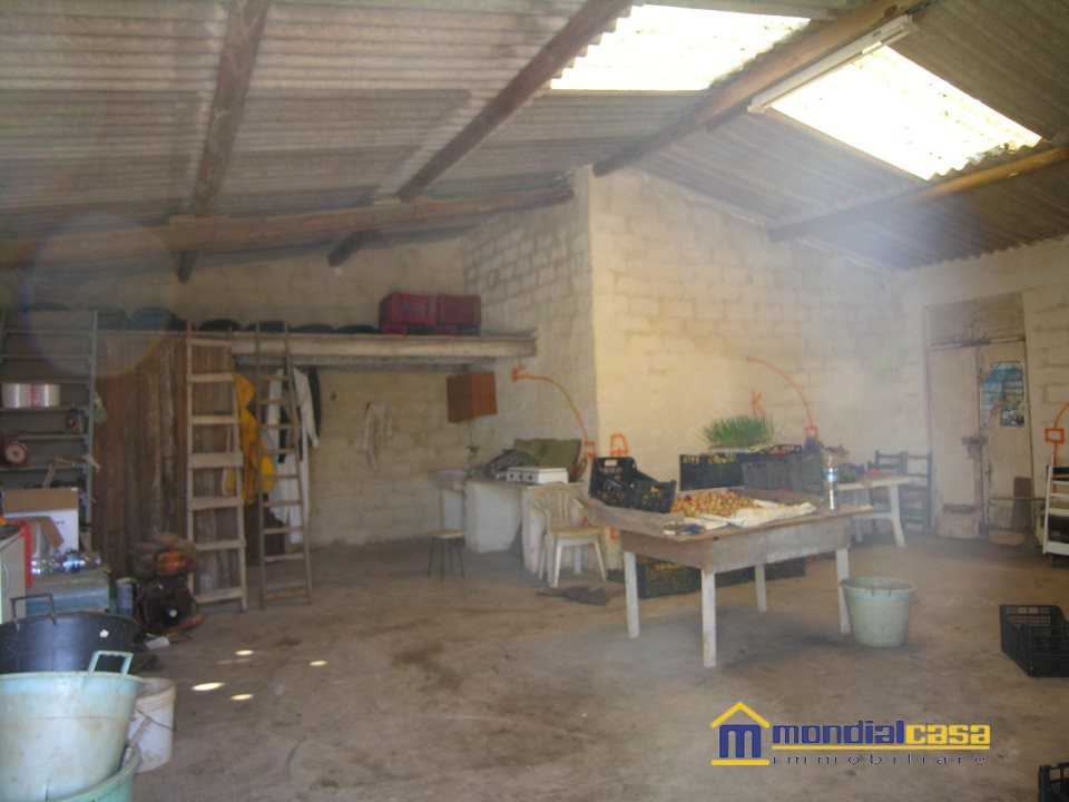  - foto 5