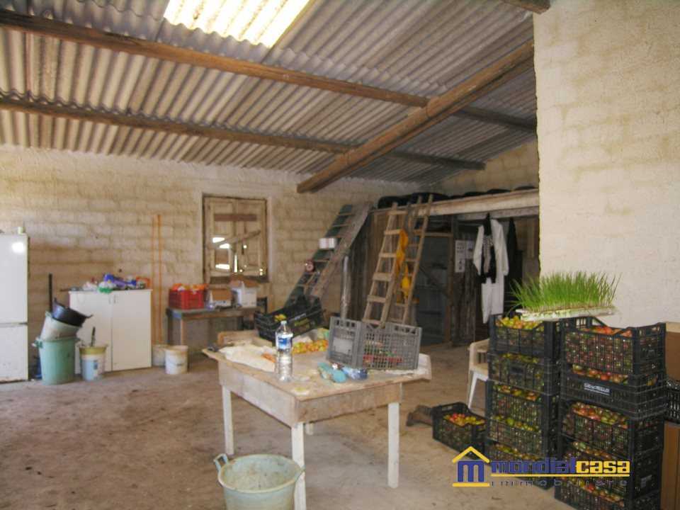  - foto 6