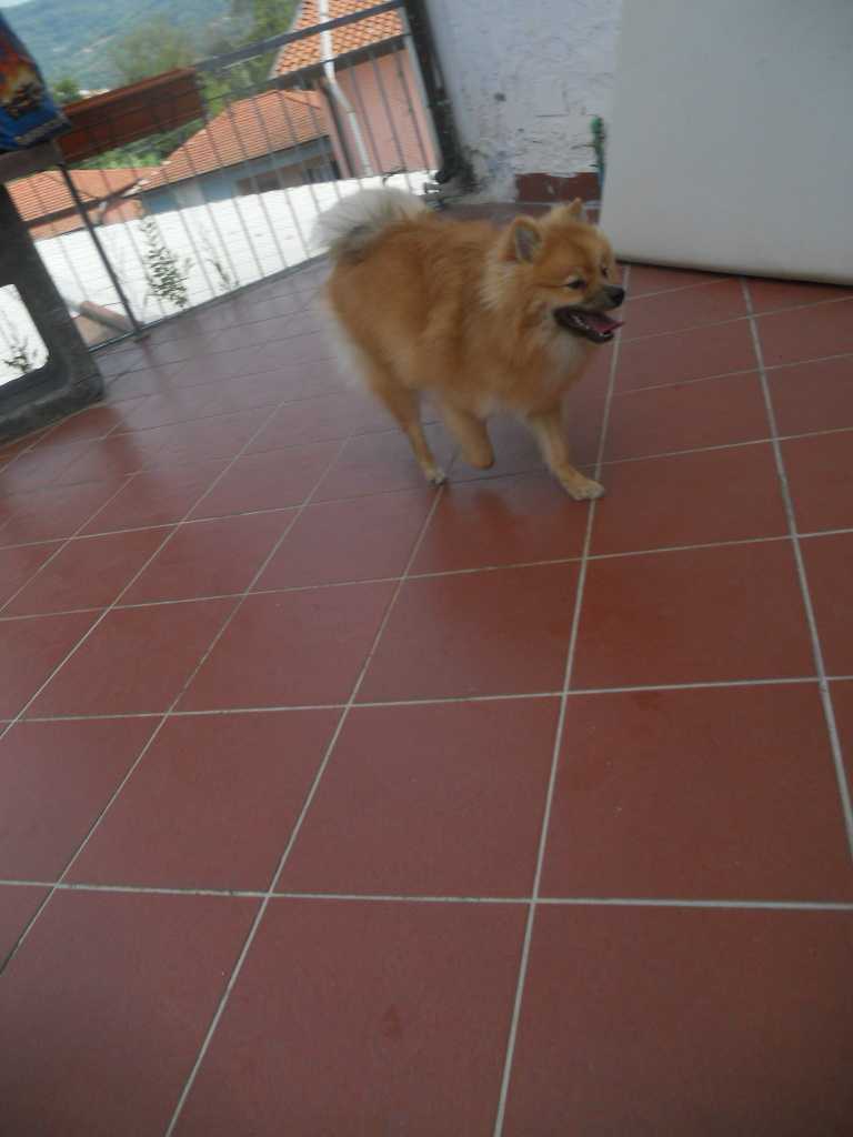  - foto 23