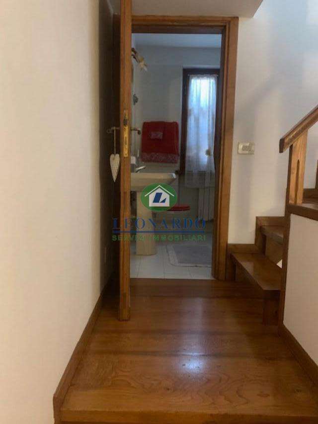  - foto 17