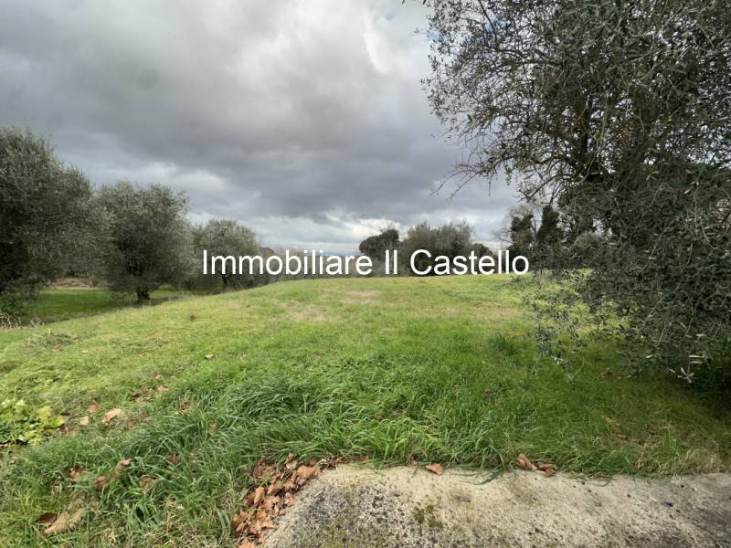 immagine annuncio 2 di 3