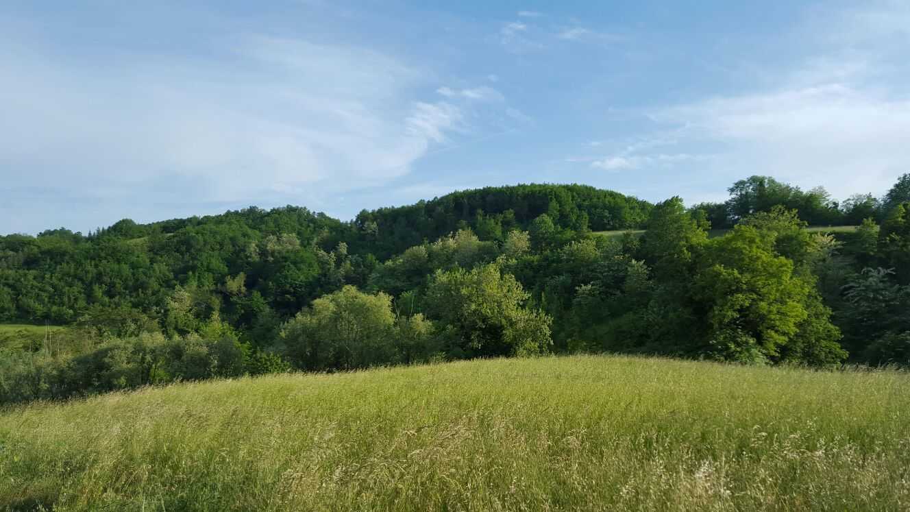  - foto 7