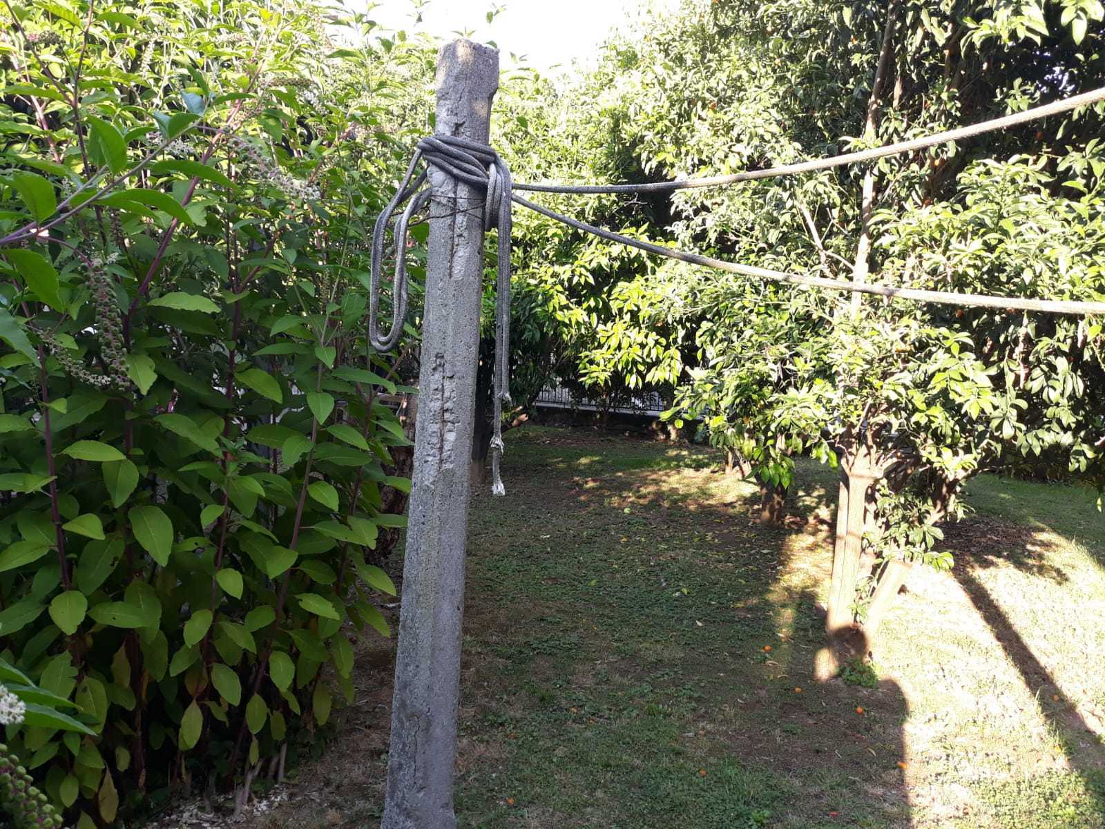  - foto 5