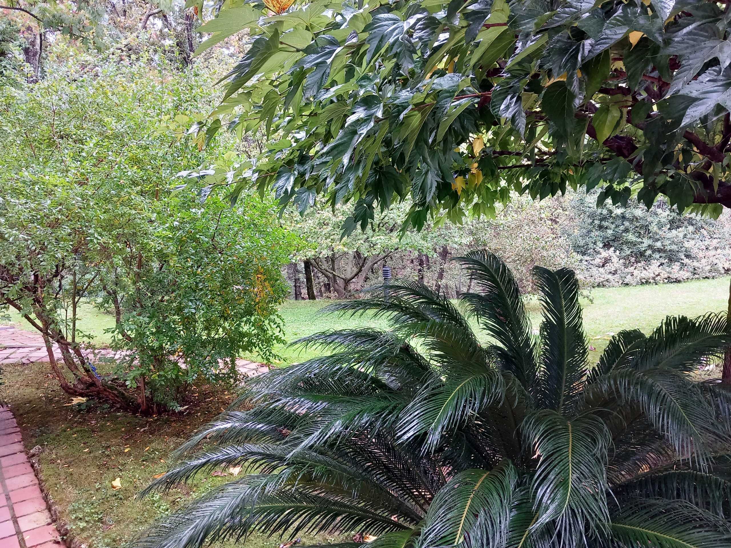  - foto 3