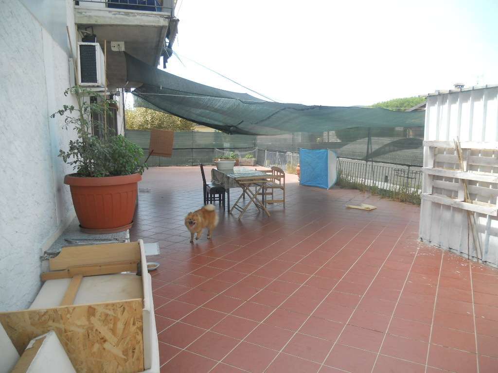  - foto 22