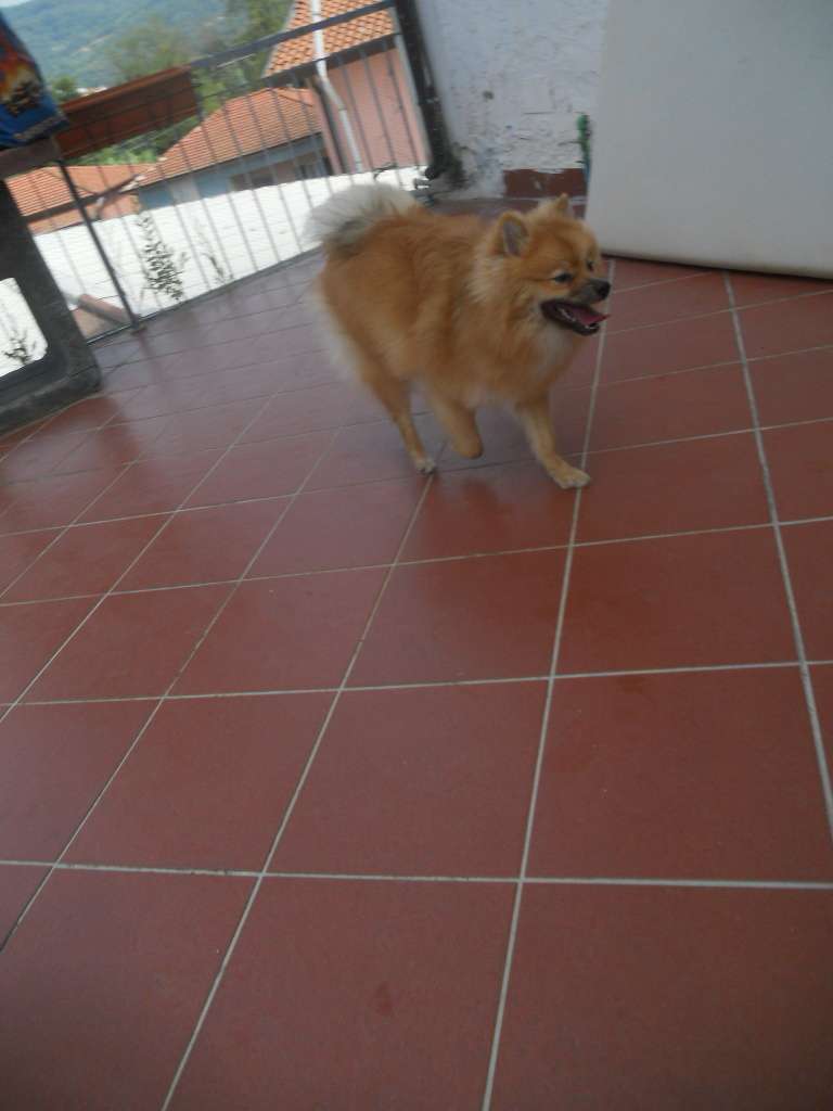  - foto 23