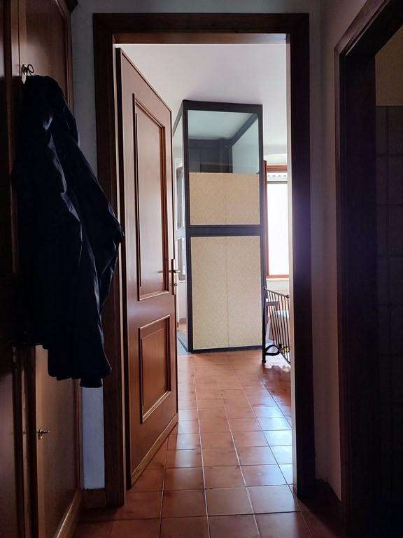  - foto 13