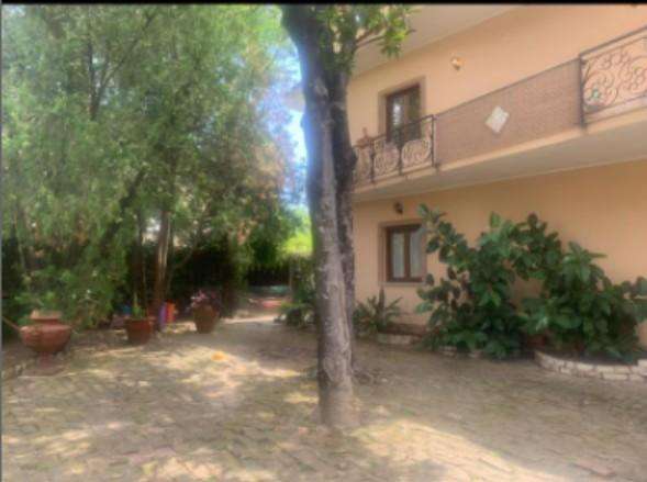  - foto 30