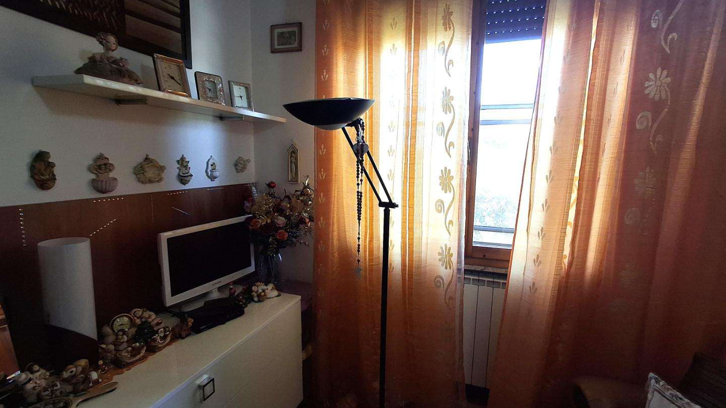 immagine annuncio 8 di 9