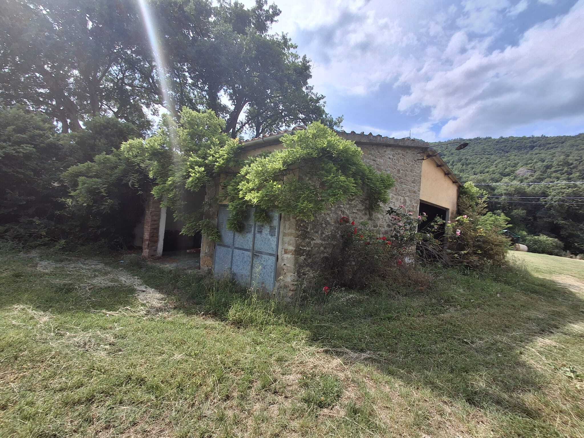  - foto 21