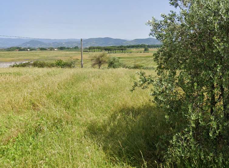 immagine annuncio 2 di 3
