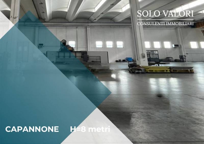immagine annuncio 5 di 8
