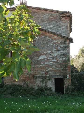  - foto 28