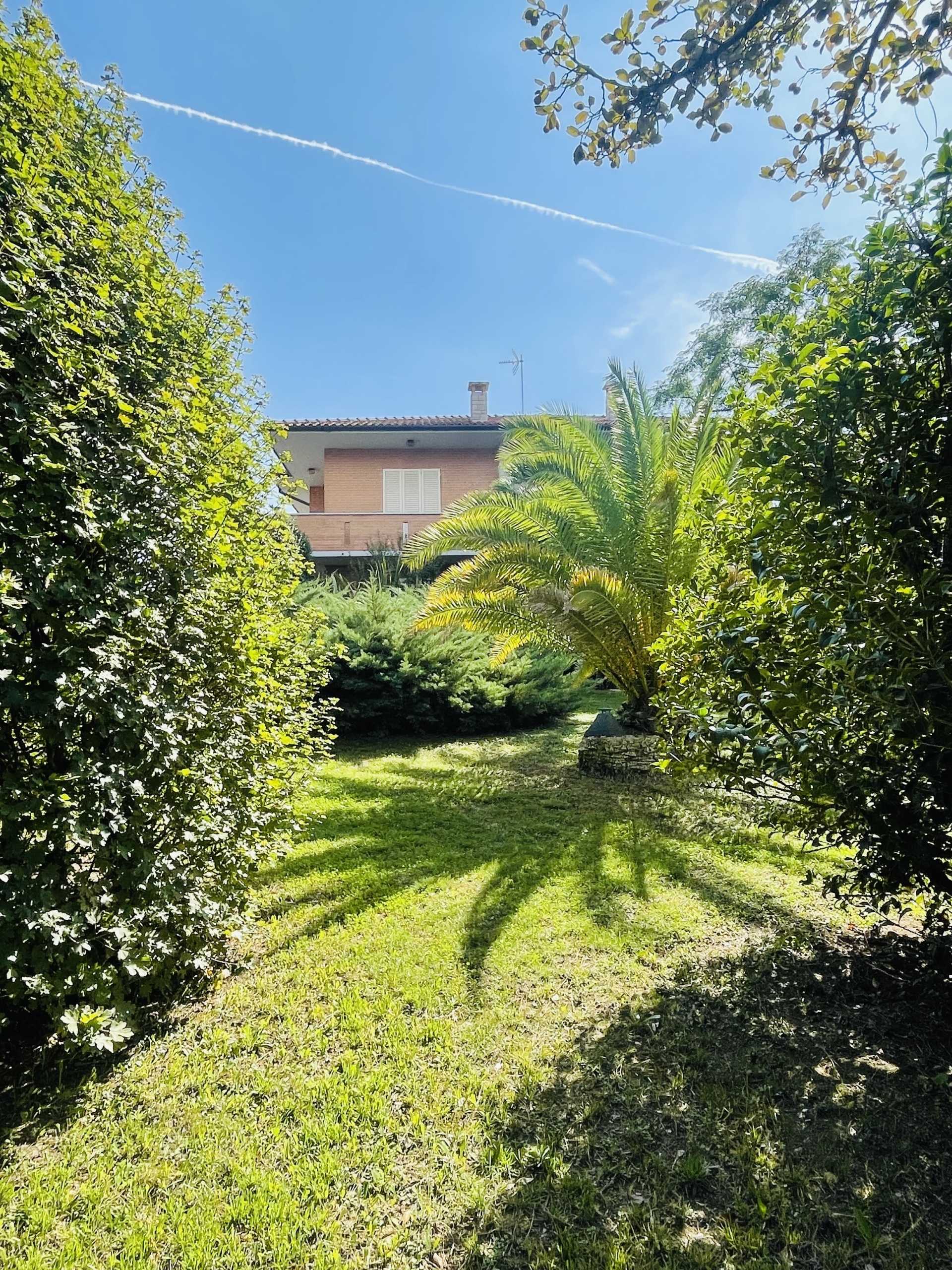  - foto 31