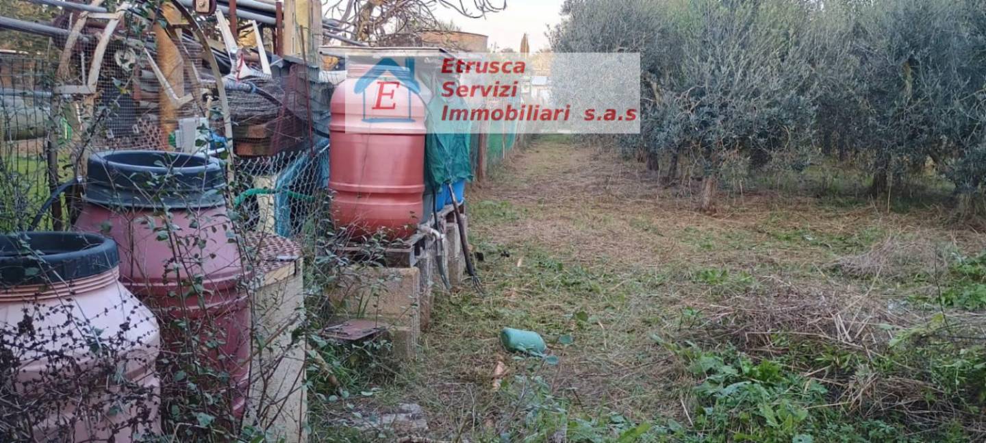 immagine annuncio 4 di 7