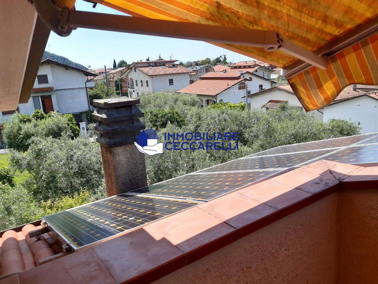 immagine annuncio 1 di 14