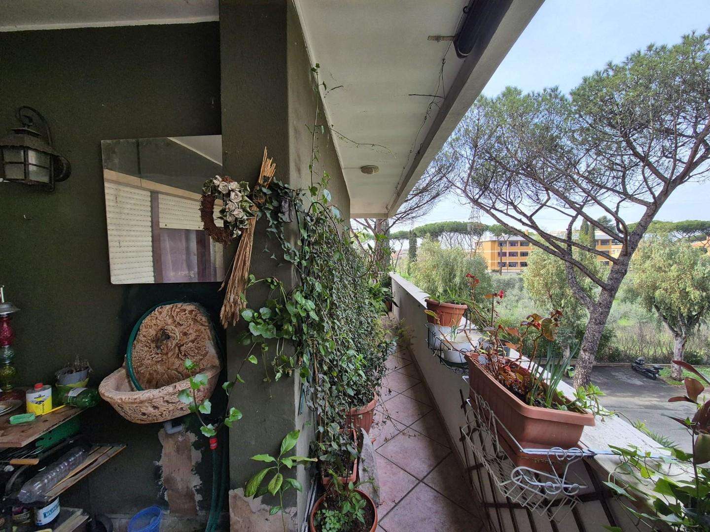  - foto 14