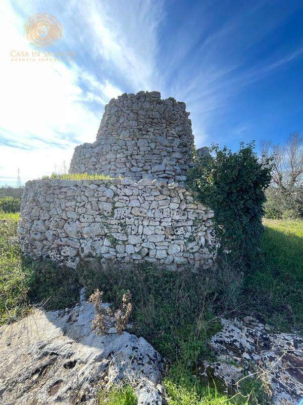  - foto 35