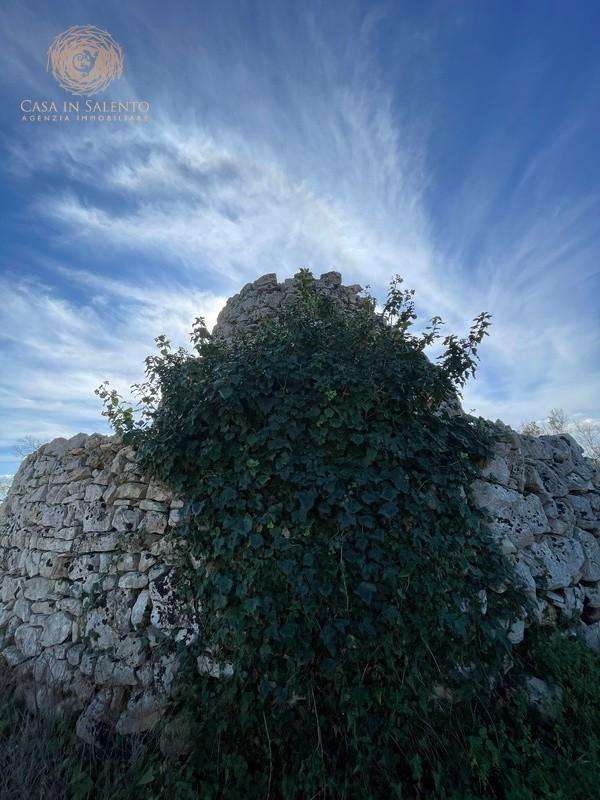  - foto 37