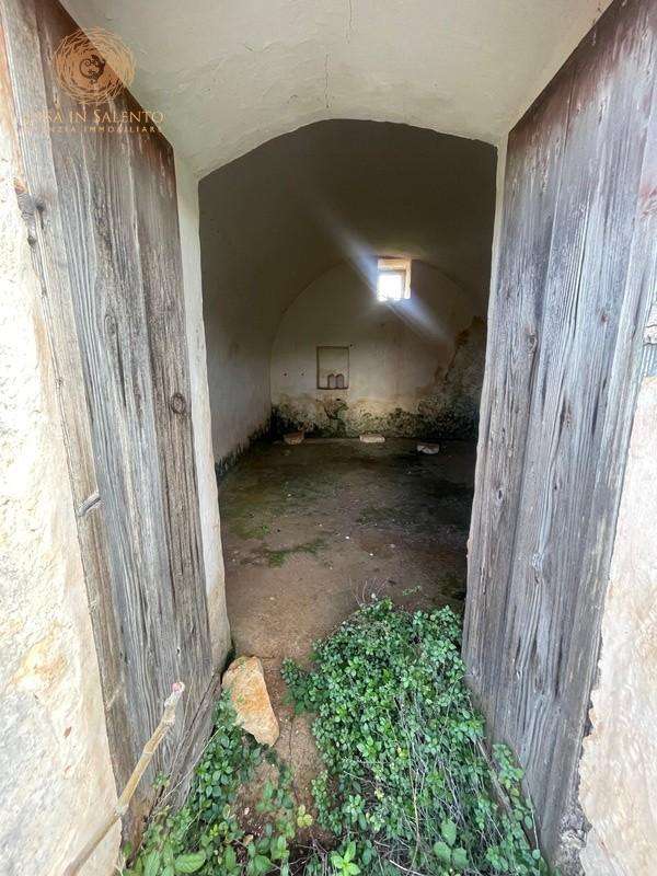  - foto 49