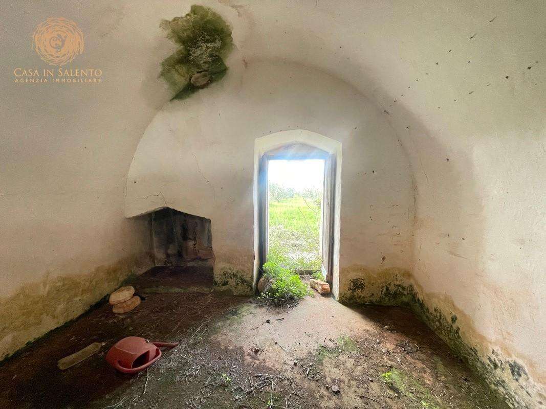  - foto 50