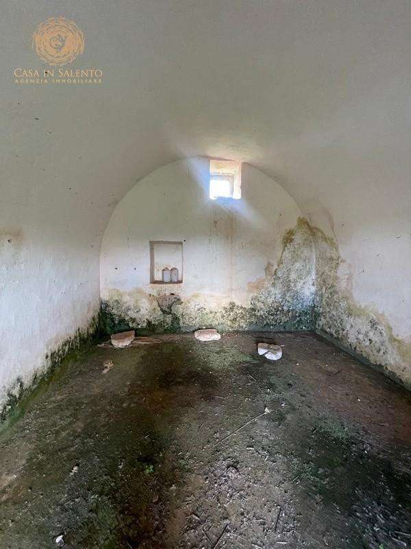  - foto 51