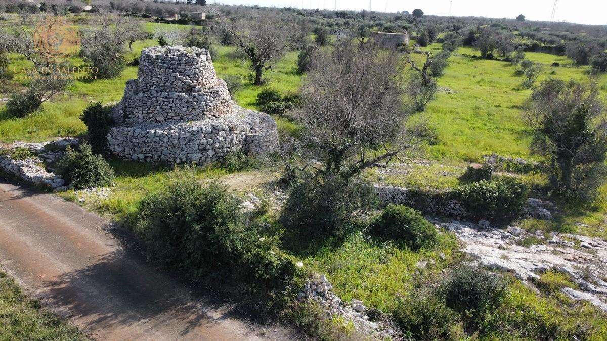  - foto 59