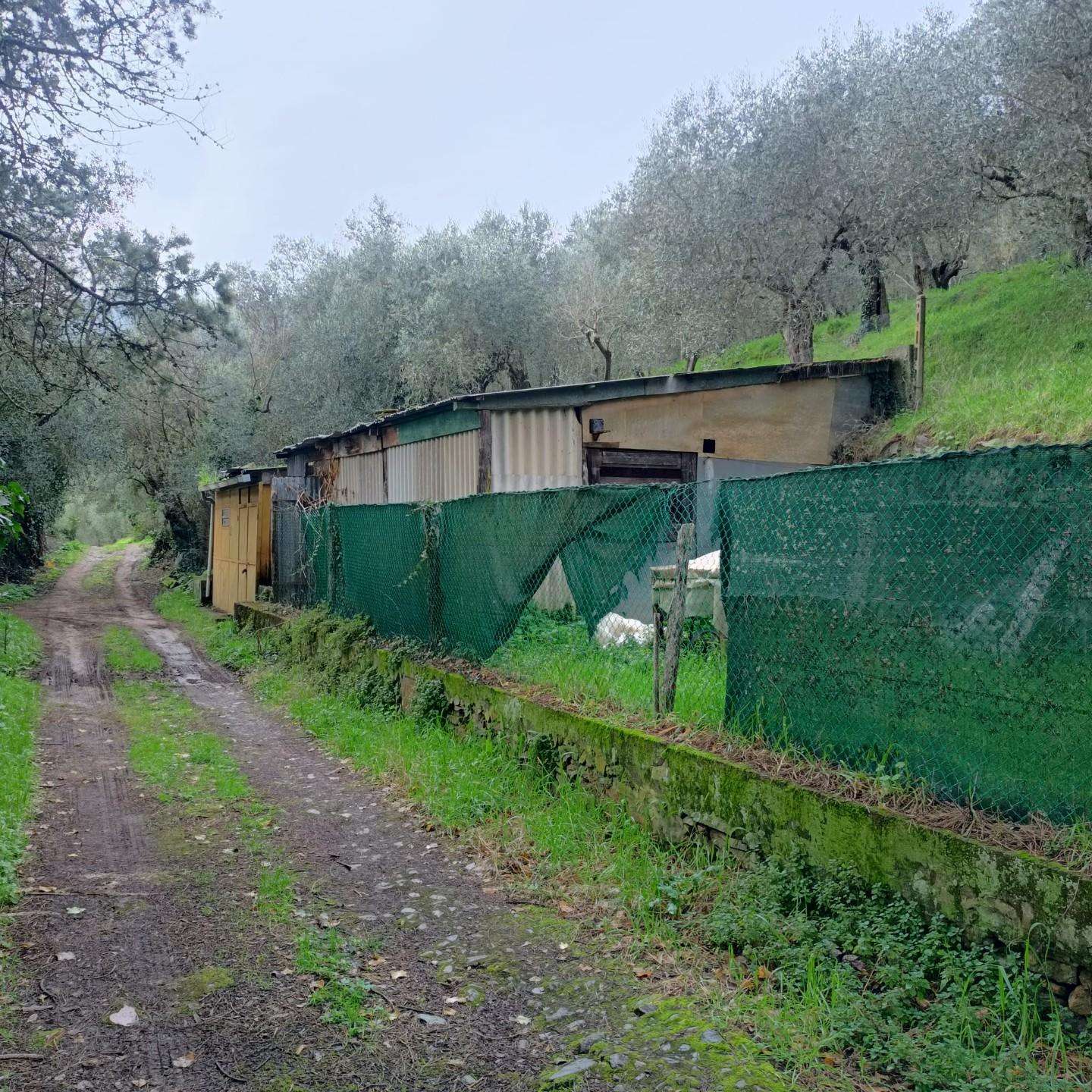 immagine annuncio 2 di 9