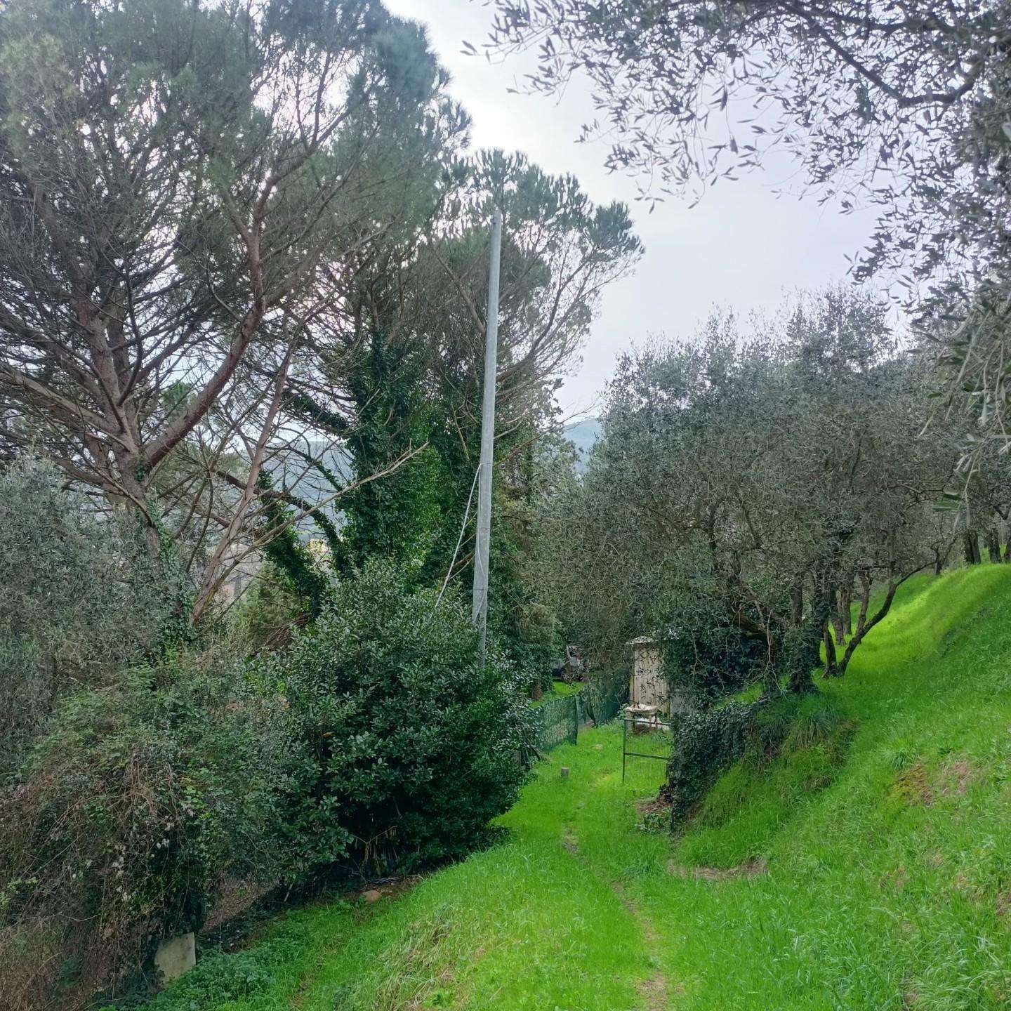 immagine annuncio 7 di 9