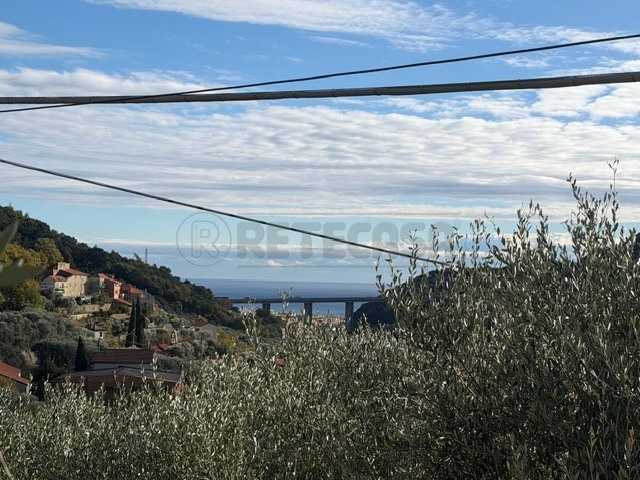  - foto 37