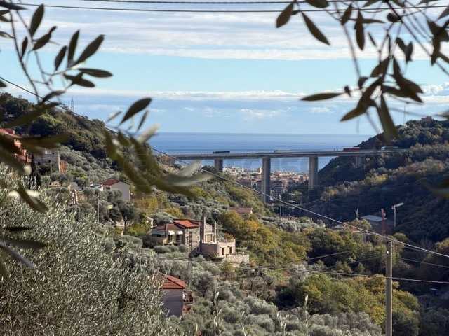  - foto 39